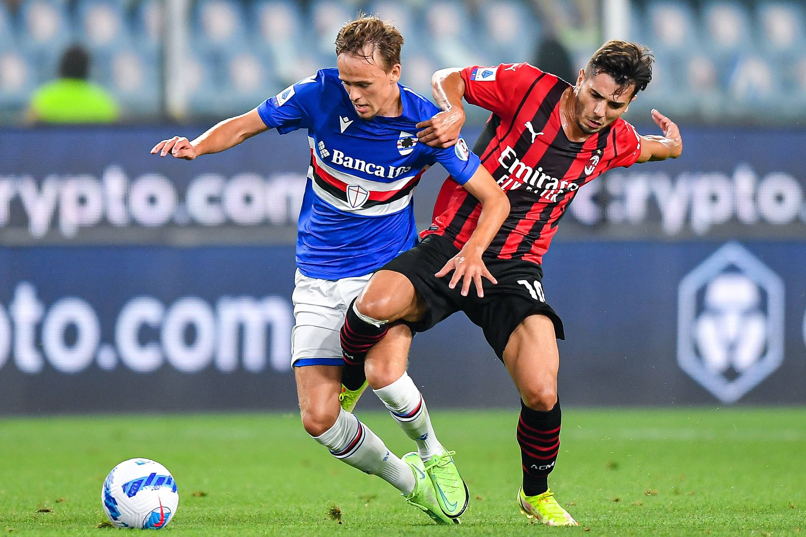 能在对抗中 能在对抗中