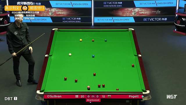 术背景中 术背景中