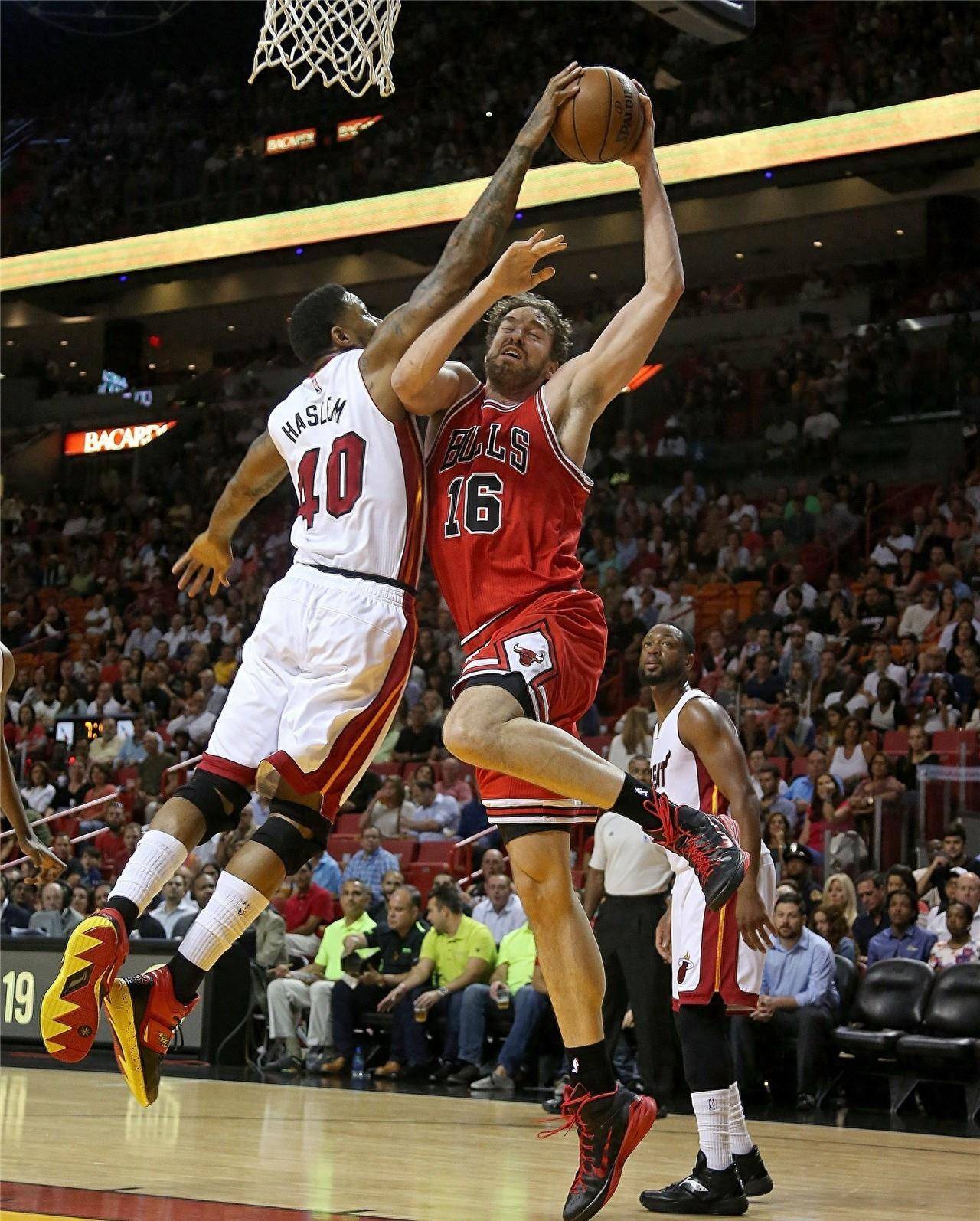 还是生态系 还是生态系