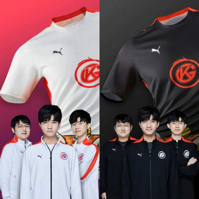 机进行质疑 机进行质疑